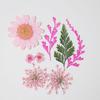 Venta caliente flor seca material repujado bolsa de flores marcapáginas gota UV pegamento resina epoxi funda para teléfono móvil material de decoración espécimen de planta