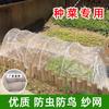 Haste de Fibra de Vidro Suporte de Arco Pequeno para Estufa Haste de Arco Haste para Mudas Haste de Estrutura Estrutura de Estufa Agrícola para Vegetais Haste de Fibra de Vidro para Campo de Vegetais