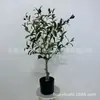 Árbol de olivo artificial planta verde bonsái interior sala de estar decoración de suelo decoración ventana restaurante a juego planta verde suave árbol