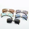 Gafas de Sol Redondas con Borde Cortado Doble Puente Cabeza de Leopardo para Hombres y Mujeres Gafas de Sol Anti-UV Gafas de Sol de Moda para Hombres Gama Alta