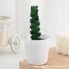 Mango de Invierno Oficina Decoración de Escritorio Interior Planta en Maceta Maceta de Cerámica Cubo Pequeño Mini Planta Suculenta Más Vendido en Amazon