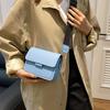 Bolso Pequeño para Mujer 2025 Nuevo Estilo Coreano Gran Capacidad Bolso Cuadrado Pequeño Simple con un Toque de Alta Gama, Versátil para el Trabajo Diario, Bolso de Hombro Cruzado