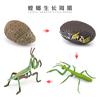 Simulación sólida Araña Naruto ciempiés modelo de insecto juguete para niños mariposa abeja animal decoración bandeja de arena