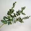 Hojas de Eucalipto Artificiales Estilo Europeo, Plantas Verdes Artificiales, Decoración de Ins, Muebles para el Hogar, Arreglos de Boda, Arreglos Florales