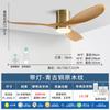 Luz de Ventilador Moderna Simple de Frecuencia Variable Silenciosa para Techo Luz de Ventilador de Techo para Hogar Dormitorio Sala de Estar Comedor Techo Bajo