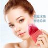 Maquiagem de beleza novo molde de rolo de gelo de silicone instrumento de beleza portátil sorvete resfriamento facial massagem cuidados