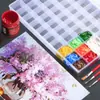 Caja de Pintura Gouache 36 Compartimentos Pequeño Mini Gran Capacidad Portátil Pintura al Óleo Acrílico 48 Compartimentos Paleta de Acuarela Compartimentos Pequeños