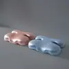 Travesseiro Lateral da Bela Adormecida, Antirrugas, Anti-Sullcos Nasogenianos, Sem Pressão no Rosto, Proteção da Coluna Cervical, Travesseiro de Massagem para Casa, Núcleo Específico para Adultos