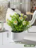 Plantas en Maceta Pequeñas de Simulación Decoración de Escritorio para Oficina Sala de Estar Adornos Entrada Interior Flores Falsas Biomorfas Decoración de Plantas Verdes