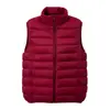 Chaleco ligero de algodón con cuello mao básico para mujer, otoño e invierno, chaqueta de algodón sin mangas con cremallera, prenda exterior para mujer, adecuada para superponer, suministro al por mayor