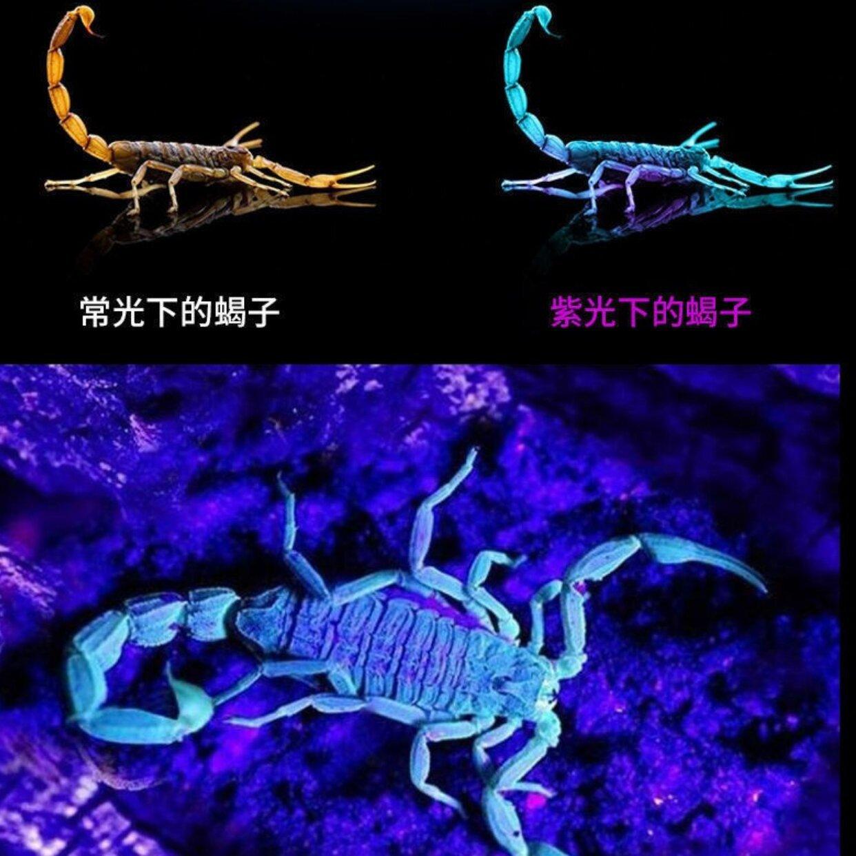 大泽设计_20230627203038_1_proc