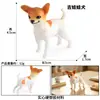 Modelo de perro de simulación transfronterizo adornos sólidos golden retriever perro Chai Corgi perro de lidia perro bóxer galgo perro lobo de mano