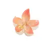 Clip de flor de Narciso Nuevo Elegante Transfronterizo Pinza para el pelo de Plumeria de Hada Pinza de Tiburón Pinza para el Cabello de la Parte Posterior de la Cabeza Accesorio para el Cabello