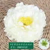 Simulado No. 9 Flores de Peonía con Estambres, Fondo de Boda, Pared de Flores, Arreglo Floral para Guía de Camino, Suministro Transfronterizo de Flores de Peonía de Seda