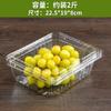 Caja de Fruta Desechable Fábrica Mayorista Supermercado Caja de Empaque para Sandía Transparente Material PET Caja para Cortar Fruta Fresa Arándano
