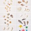 Serie Oceánica Manicura Rodajas de Concha Natural Rodajas de Abulón Estrella de Mar Caracola Playa de Verano Joyería DIY Mayoreo