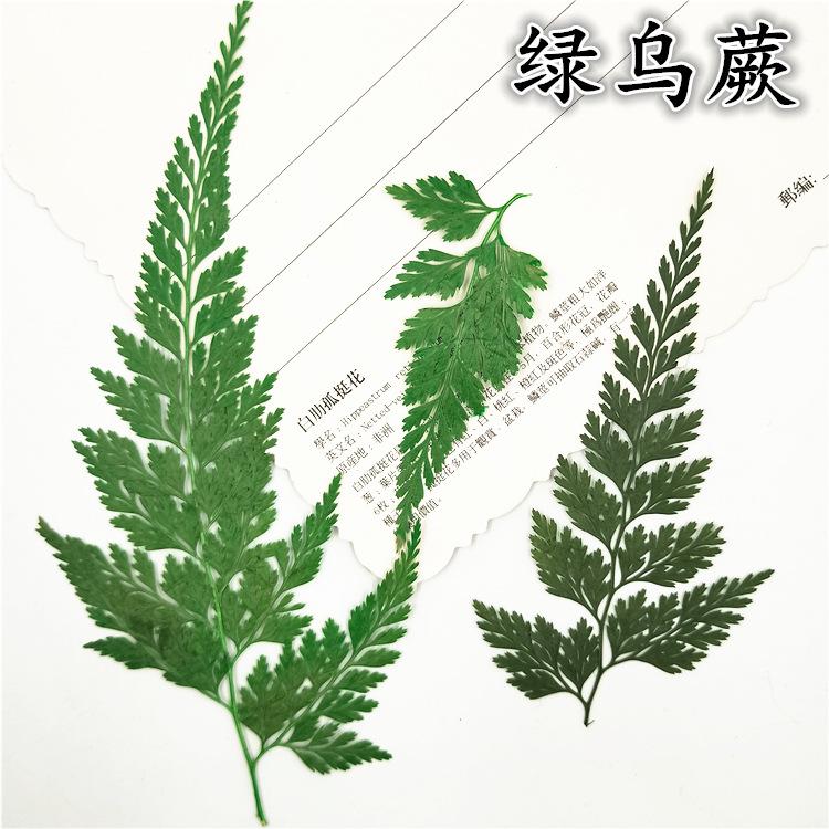 IMG20190107161204
