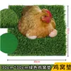 Tapete de Césped para Nido de Pollo Simulado Verde Cálido y Aislante Fácil de Limpiar Nido de Pollo Mascota Gato y Perro Alfombra de Césped Simulado