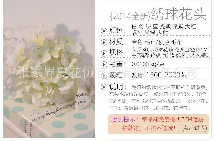 绣球花头XH(2014)_04.jpg