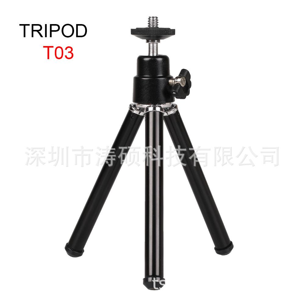 T03 伸缩支架