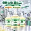 Rey Quitamanchas de Aceite para Ropa para Eliminar Manchas, Manchas de Aceite en la Ropa, Limpieza y Eliminación de Manchas de Aceite Difíciles, Limpiador para Eliminar Manchas de Aceite, Eliminar Marcas de Aceite