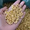 Amendoins de Plástico Ecológicos, Enchimentos de Lingote Dourado Imitação Dourada, Tigela do Tesouro, Jarra das Cem Bênçãos, Enchimentos de Lingote para Porta-Retrato