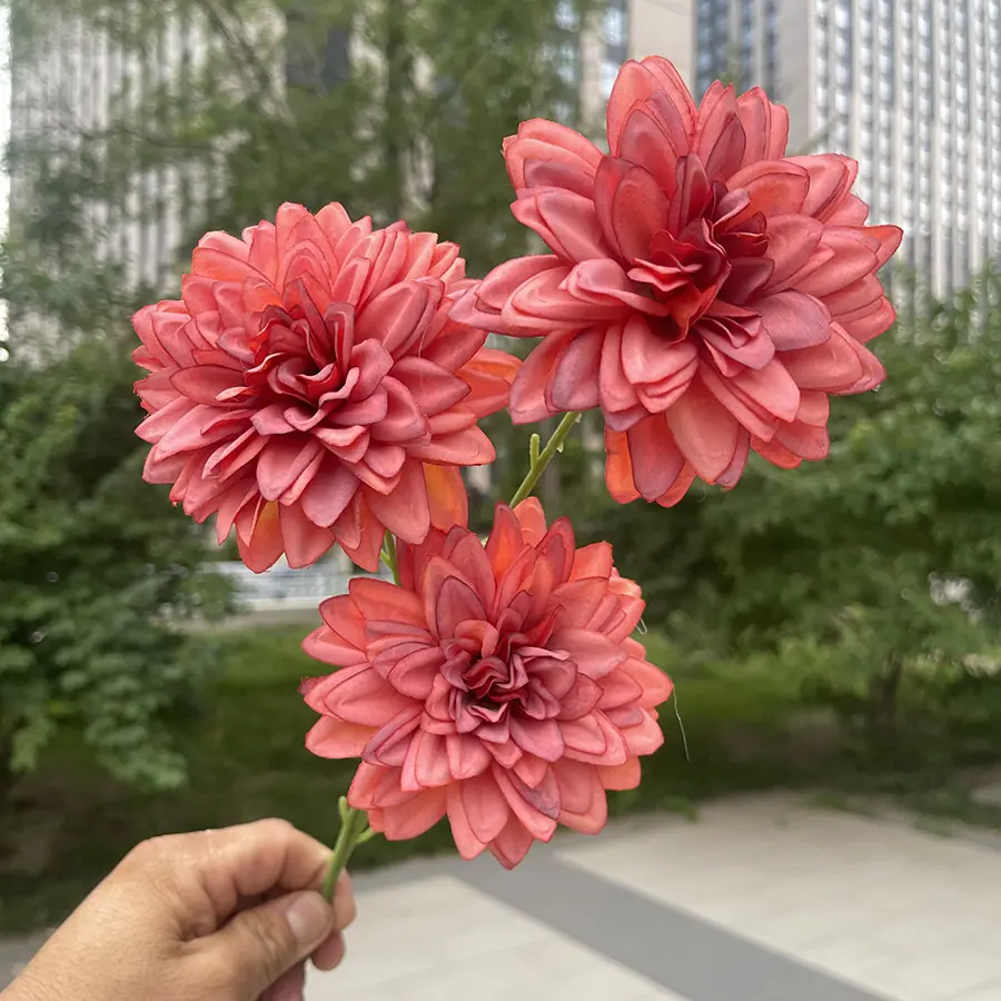 3头炫彩锦绣-xwmhx-橙色.JPG
