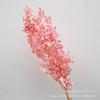 Folhas ricas branqueadas flor eterna flor seca buquê de flores diy material casamento fotografia floral adereços fábrica atacado