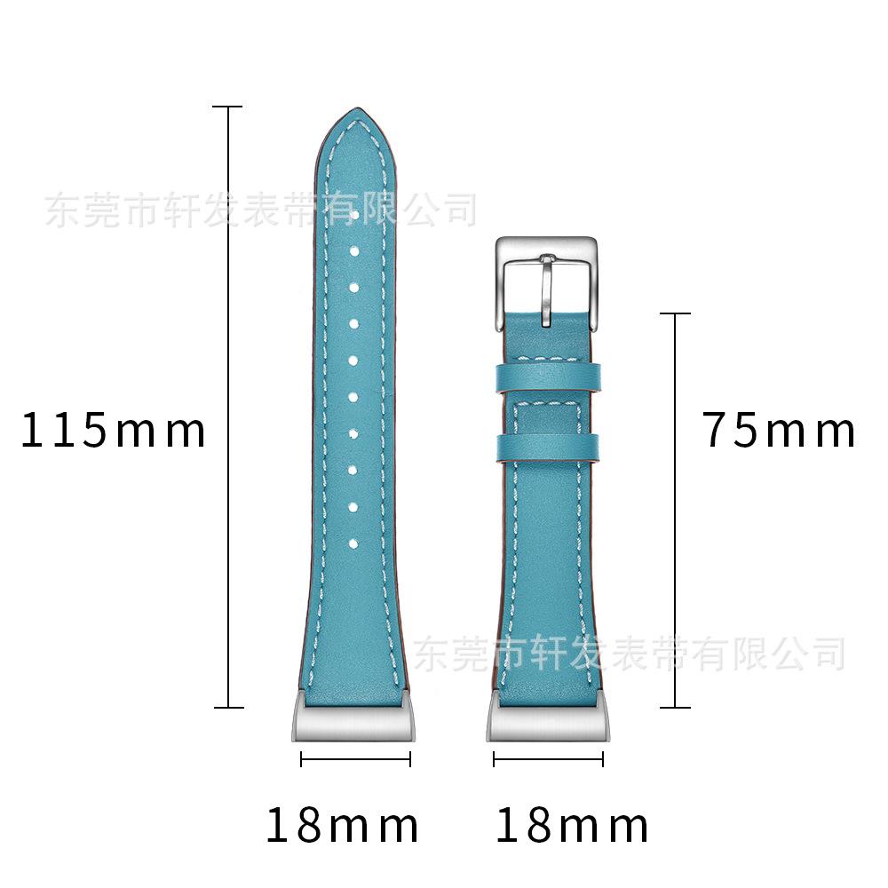 尖嘴-蓝8.jpg