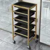 Carro de Peluquería para Permanente y Tintes Gabinete de Almacenamiento Carrito para Varillas de Peluquería Estante de Almacenamiento para Peluqueros Gabinete de Herramientas Barbería Peluquería