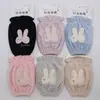 Estilo Nuevo Otoño e Invierno Mangas Cortas para Mujer, Mangas Bordadas de Oreja de Conejo Anti-Manchas para Estudiante, Protectores de Manga para Chaqueta de Plumas al por Mayor