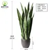Planta Artificial Orquídea Cola de Tigre Planta en Maceta para Decoración de Casas de Huéspedes y Paisajismo, Planta Verde Falsa Tropical, Orquídea Cola Amarilla, Agave con Borde Dorado