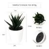 Más de 100 Tipos de Combinaciones de Plantas Suculentas Mini de Plástico Simuladas en Maceta, Mini Bonsáis Suculentos Más Vendidos Transfronterizos, Decoración para el Hogar, Adornos Creativos