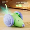 Brinquedo de Carro Mouse Inteligente Selecionado Cuidadosamente Transfronteiriço para Gato Brinquedo para Cão e Gato Carro Carregamento USB Autentretenimento Alívio do Tédio Brinquedo para Animal de Estimação