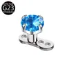 Venta al por mayor transfronteriza Aleación de titanio G23 Zirconia Aaaaa Rosca interna Joyería para piercing de clavícula F136 Implante de clavo subcutáneo