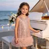 Vestido de Lantejoulas para Meninas Vestido de Princesa Transfronteiriço Sem Mangas Saia em Camadas Tule Fofo Vestido Formal Infantil Saia de Aniversário