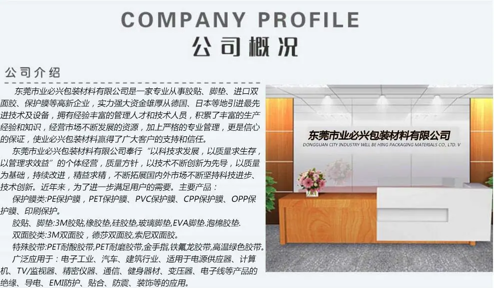 公司概况