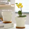 Macetas de Cerámica con Platos para Uso Doméstico al por Mayor, Macetas para Suculentas de Estilo Ins Simple Lujo Ligero Estilo Crema, Disponible para Dropshipping