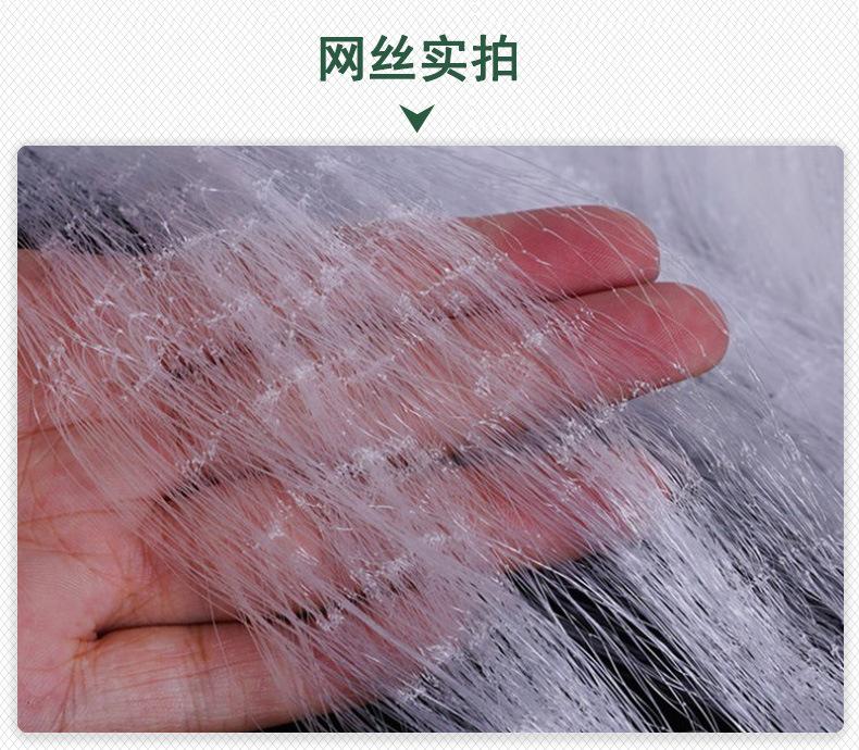 细2.jpg