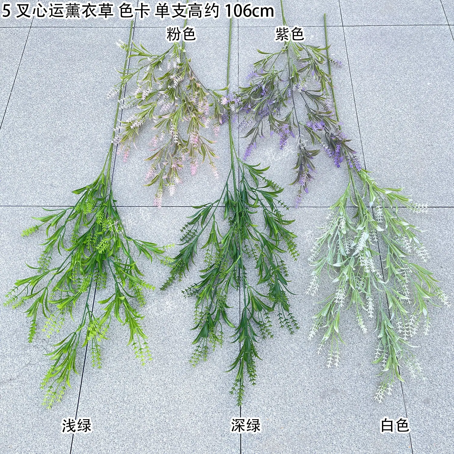 5叉心运薰衣草 色卡 花溪谷.jpg