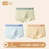 Roupa Íntima Masculina, Algodão Puro, Algodão Classe A, Forro 100% Algodão, Cueca Boxer Infantil, Tamanho Grande Infantil