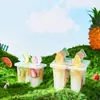 Desenhos animados fruta sorvete molde de sorvete de grau alimentício crianças DIY picolé caixa de gelo de picolé