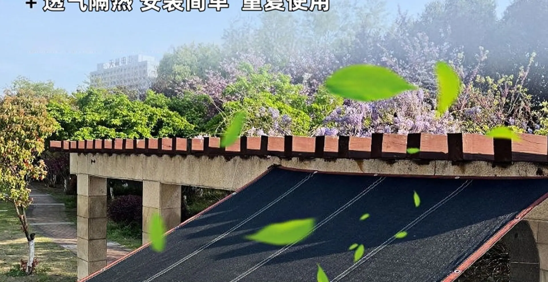 未标题-5_12.png