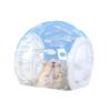 Pelota Silenciosa de Correr Oversize para Hámster, Pelota Deportiva Rodante, Suministros Oso Dorado, Pelota para Correr, Pelota Rodante, Juguete para Aliviar el Aburrimiento