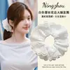 2026 Nuevo Modelo Estilo Igual al de Zhao Lusi "Let Me Shine" Pinza Triangular para el Cabello para Mujer, Pinza de Tiburón para Cabello Grueso, Sensación de Alta Gama