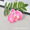 Flor de Orquídea Phalaenopsis Cabeça de Flor Simulação de Filme Impressa em 3D Flor Artificial Lembrancinhas de Festa de Casamento Decoração de Caixa de Doces Acessório de Cabeça DIY Presilha de Cabelo