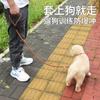 Correa para Perro Cadena P Retráctil Entrenamiento para Perros Perro Pequeño, Mediano y Grande Cuerda Cadena para Perro Suministros para Mascotas