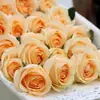 Plántulas de Rosa Gypsophila Ultra Finas, Plántulas de Rosas Florecientes, Florales de Maceta de Cuatro Estaciones, Plantas Trepadoras, Rosales y Plantas Verdes