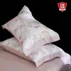 Fundas de Almohada de Tencel Frescas para Verano, Par de Fundas de Almohada de Lyocell para Adultos, Funda Interior para Relleno de Almohada de Seda Helada para Uso Doméstico, Nuevo Modelo 2026