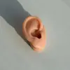 Corpo Artificial Características Faciais Silicone Orelha Sobrancelha Lábio Modelo Beleza Tatuagem Bordado Prática de Ensino Joias Exibição Adereços Suporte